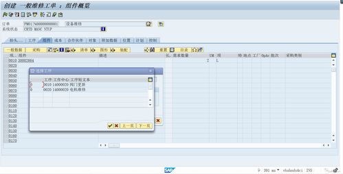 sap pm设备模块 维修执行 维修工单